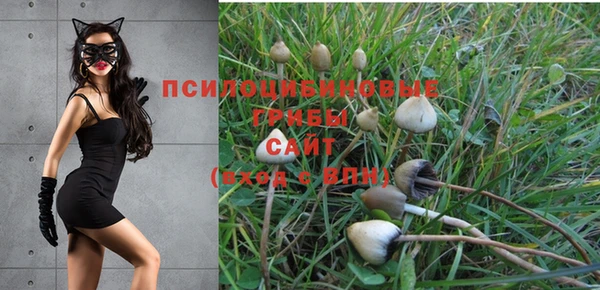 стаф Киреевск