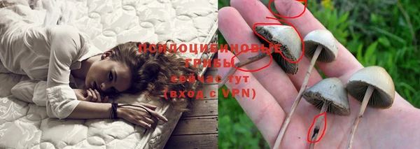 бошки Нижневартовск